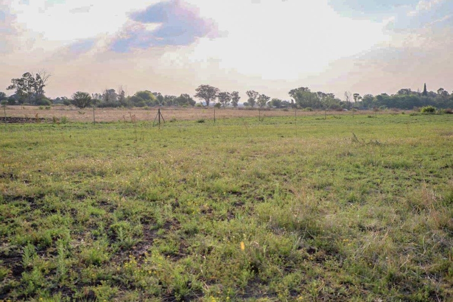 6 Bedroom Property for Sale in Koppies Rural Free State